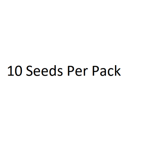 ALL ORDERS COME WITH 10 SEEDS