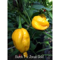 Butch T X Jonah Gold Pepper
