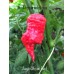 Jays Ghost Pepper Red