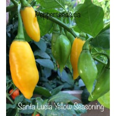 Santa Lucia Yellow Seasoning