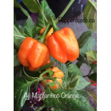 Aji Margaritino Orange Pepper Seeds 
