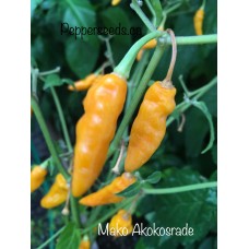 Mako Akokosrade Pepper Seeds