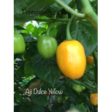 Aji Dulce Yellow Pepper Seeds 