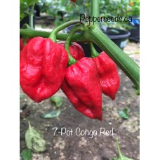 7-Pot Congo Red Pepper Seeds 