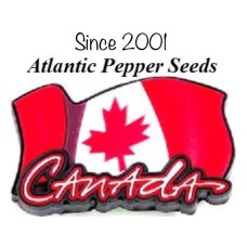 APS Customer Loyalty Pepper Seeds 