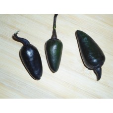 Black Jalapeno Pepper