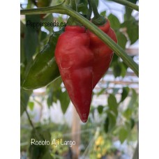 Rocoto Aji Largo Pepper Seeds 