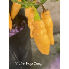APS Hot Finger Orange Pepper Seeds