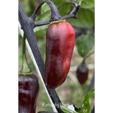 Kathumby Black Pepper Seeds 