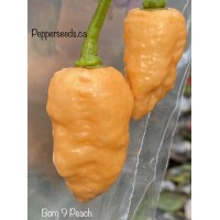7-Pot Borg 9 Peach Pepper Seeds