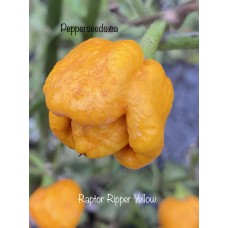 Raptor Ripper Yellow Pepper Seeds 