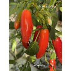 Sinahuisa Pepper Seeds