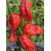 7-Pot PITA Pepper Seeds 