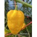 Bhut Jolokia Assam Yellow x 7-Pot Yellow Pepper Seeds 