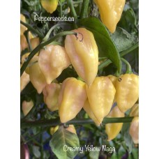Creamy Yellow Naga Pepper Seeds 