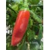 Chile de Comida Pepper Seeds 
