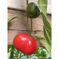 Large Red Rocoto Pepper Seeds 