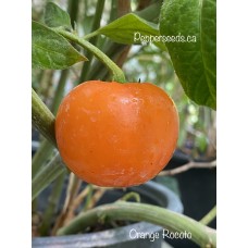 Rocoto Orange Pepper Seeds 