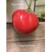 Large Red Rocoto Pepper Seeds 
