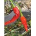 Tehrani Pepper Seeds 