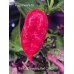 Trinidad Scorpion Red CARDI Pepper Seeds 