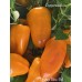 Orange Glow Bell Pepper Seeds 