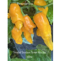 Trinidad Scorpion Sweet Moruga Yellow Pepper Seeds 