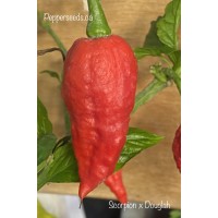 Douglah Scorpion Pepper Seeds 