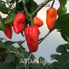 Aji Dulce Long Red Pepper Seeds