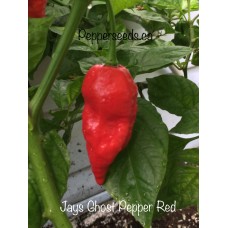 Jays Ghost Pepper Red
