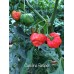 Carolina Reaper Red Pepper Seeds 