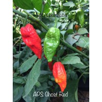 APS Ghost Pepper Red Pepper