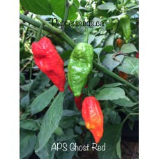 APS Ghost Pepper Red Pepper
