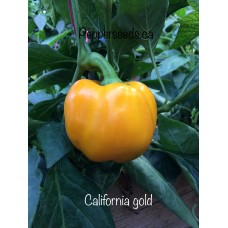 California Wonder Gold Bell Pepper