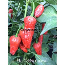 Bhut Jolokia Caramel Pepper