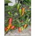 Naga Colt Tampdo Pepper Seeds Naga Colt Tampdo Pepper Seeds