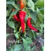 Guajillo Pepper Seeds