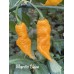 Mantis Claw Pepper seeds Mantis Claw Pepper seeds