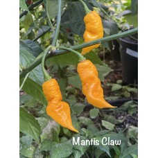Mantis Claw Pepper seeds Mantis Claw Pepper seeds
