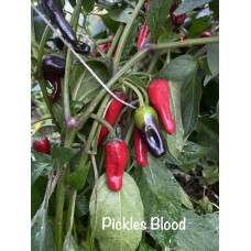 Pickles Blood Pepper Seeds