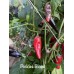 Pickles Blood Pepper Seeds