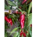 Pickles Blood Pepper Seeds