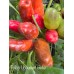 Trilop Ucburum Bider Pepper Seeds 
