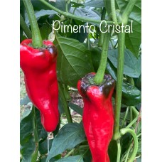 Pimento Cristal Pepper Seeds 
