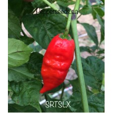SRTSLX 
