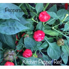 Kitchen Pepper Red
