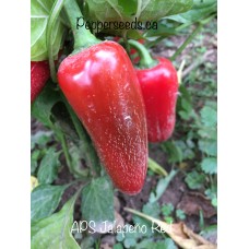 APS Jalapeño Red Pepper