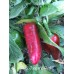 APS Jalapeño Red Pepper