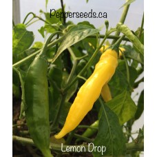 Lemon Drop Yellow Pepper Seeds 