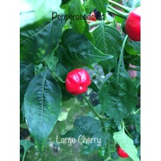 Large Cherry
